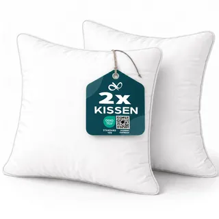 Flowen Kissen 40x40 Kopfkissen 2er Set Dekokissen für Bett und Sofa Innenkissen Hypoallergene Sofakissen Anti-Milben Weiche Zierkissen mit Kissenbezug Mikrofaser Abnehmbar und Waschmaschinenfest