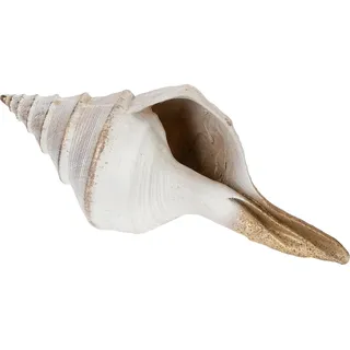 Maritime Deko-Muschel für stilvolle Wohnakzente