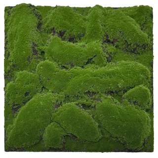 JANGAL Wandpaneel Akustik Modular Wall Forest Green 2 St. 52 x 52 x 2,6 cm