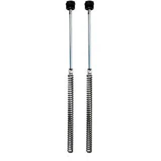 Öhlins Fdk 111 Honda Msx125 11-19 Cartridge-kit - Silver - One Size