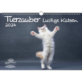 Tierzauber lustige Katzen DIN A3 Kalender für 2024 Lustige Katzen - Seelenzauber