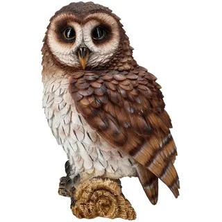 Figuren Shop GmbH Gartenfigur starrenede Eule von HotAnt 21 cm - Realistische Dekoration, Garten Vogel Tier