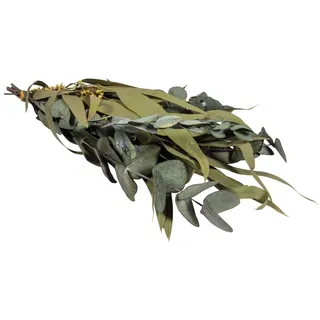 Rayher Eukalyptus-Zweige, Bund mit Papiermanschette, 30 – 35 cm, Trockenblumen Deko, natur, Eukalyptus getrocknet, Eukalyptus Blätter Deko, 85493000