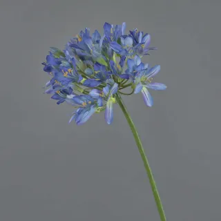 artplants.de Künstliche Blume Agapanthus ORNIL, blau, 90cm - Kunst Liebesblume