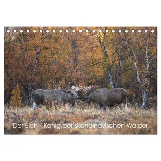 Der Elch - König der skandinavischen Wälder (Tischkalender 2026 DIN A5 quer), CALVENDO Monatskalender: Der Elch ist der König in den skandinavischen Wäldern (CALVENDO Tiere)