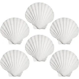 CVFRTT 6 Stück Jakobsmuscheln, Bastelmaterialien, Muscheldekoration, Küchenmuscheln, Heimdekorationen, DIY Kreativer Muschelschmuck
