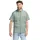 HOT Sago Palm 2XL