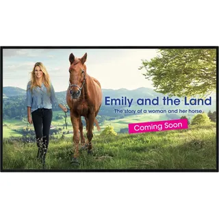 Sharp PN-HS551 Digital Signage Flachbildschirm 139,7 cm (55") TFT 700 cd/m2 4K Ultra HD Schwarz 24/7