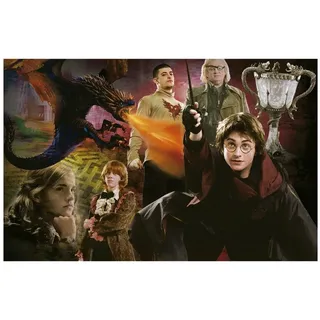 Educa Harry Potter Miniatur-Puzzle 1000 Teile)