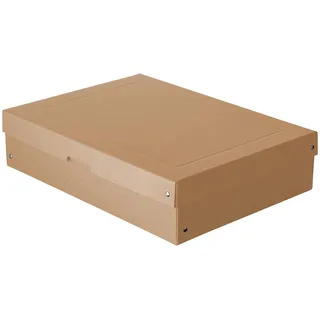 Falken Aufbewahrungsbox PureBox 100 mm hoch DIN A3 1-tlg. braun