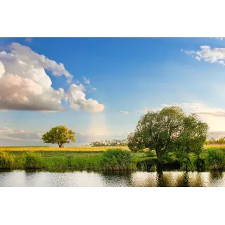 Papermoon "River Tree Landscape", bunt,
