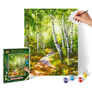 Schipper Malen nach Zahlen Meisterklasse - Birkenwäldchen