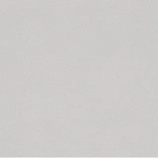 Rasch Tapete 479447 - Hellgraue Vliestapete mit körniger Struktur - 10,05m x 0,53m (LxB)