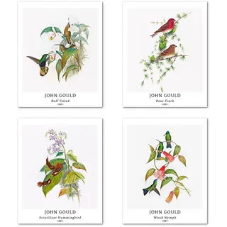Kunstdruck Ungerahmt Klassischer Vogel Bilder Set von 4, Poster Größe: 20x25 cm Premium Kunstpapier Wanddeko Minimalistisches ästhetisches Realismus natürliches Passenden Home Deko John Gould Print