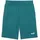 Puma ESS Color No 1 Logo 10 Strick-Shorts Emerald Ice 3XL