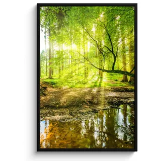 MuchoWow Poster MIT Rahmen Wald - Landschaft - Wasser - Bäume - Sonne - Grün - Natur Bilderleiste 80x120 cm , Papier , Rechteckig , 80x120 cm , gerahmt , Bilder & Rahmen, Bilder