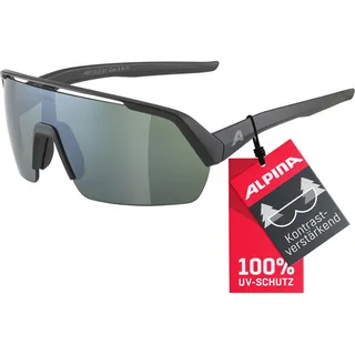 Alpina Turbo HR Q-Lite black matt/silver 31