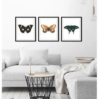 Bild QUEENCE "Juju", schwarz (farbe rahmen: schwarz, farbe bild(er): schwarz), B:40cm H:50cm, Acrylglas, Holz, Papier, Bilder, Bild, HD Premium Poster-Druck inkl. Holzrahmen
