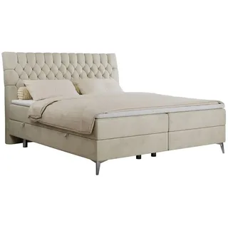 MKS Meble MKS Boxbett, Beige Velvet - H3 - Beige