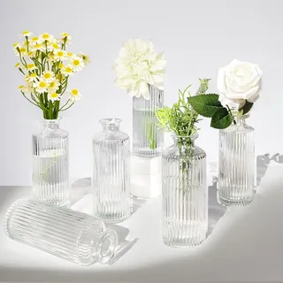 Wintfarm 6 Stück Kleine Vasen,Kleine Vasen Für Tischdeko 13 cm,Mini Glasvase für Tischdeko Hochzeit,Party, Rosen,Tulpen,Hochzeiten,Geburtstage,Vase Klein für Tischdeko (6 Stück)