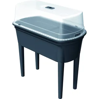 Prosperplast Hochbeet Bloomo 78 x 38 x 26,4 cm Grau