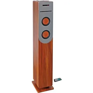 INOVALLEY HP34-CD-HOLZ CD-Player Tour - Bluetooth - 100 W - USB - Holz und Grau - Grau