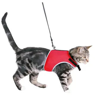 Trixie 41896 Softgeschirr mit Leine, Katze, 24–42 cm, 1,20 m