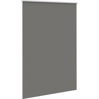 vidaXL Verdunkelungsrollo Grau 165x230cm Stoffbreite 161,6cm Polyester - Grau
