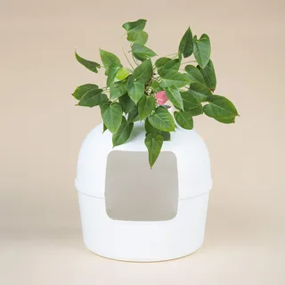 RHRQuality Katzentoilette – Flower XXL – Versteckte Katzentoilette – Für große Katzen – Mit großem Eingang (51 cm) und abnehmbarer Oberseite – Weiß - Weiß
