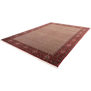 morgenland Wollteppich »Bidjar Takab Stark Gemustert Beige 343 x 253 cm«, rechteckig, 13 mm Höhe, Unikat mit Zertifikat morgenland Beige B: 253 cm   1 St.