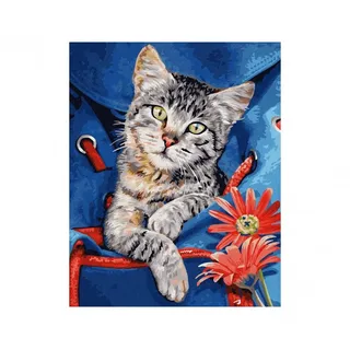 Schipper Arts - Malen nach Zahlen Katze im Rucksack