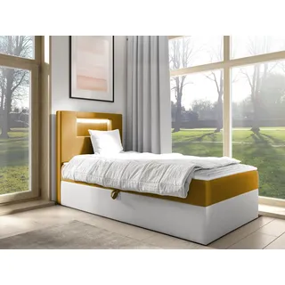Mirjan24 Gold Junior 1 100 x 200 cm H3 Gelb