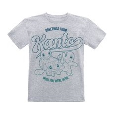 Pokémon  Kids - Greetings From Kanto  Kinder-Shirt  grau meliert