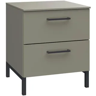 Novel Nachtkästchen , Grau, Grün , Metall , 2 Schublade(n) Schubladen , 42x51x41 cm , Typenauswahl, Soft-Close-System , Schlafzimmer, Nachtkästchen