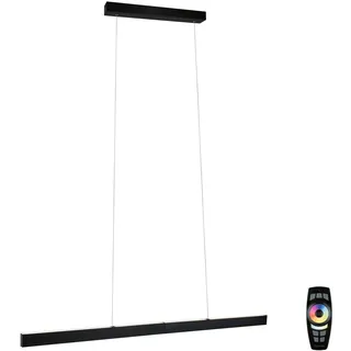 Paulmann Aptare 1-flg. 150 cm eckig schwarz