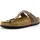 taupe 43