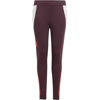 adidas FC Bayern München Tiro 24 Kids Hose Shadow Maroon / Red 152    