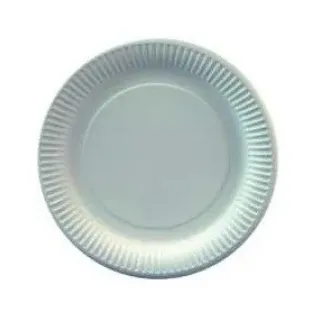 Papstar Pappteller rund Ø 23 cm 100 St. Weiß
