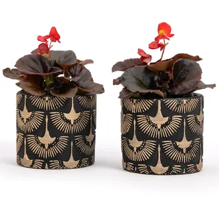 Vimin Box 1 Paar Terrakotta-Übertöpfe, handdekoriert, Schwarz und Gold, für Pflanzen und Blumen, Heimdekoration, Durchmesser 11 cm - 11 cm (Schwarz/Gold, 2 x S)