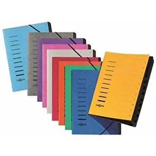 Pagna Ordnungsmappe 12 Fächer weiß,