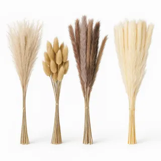 Relaxdays Pampasgras getrocknet, 144er Set, Länge: 41 cm, Trockenblumen, Boho Deko, Trockenblumenstrauß, Mehrfarbig