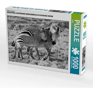 Calvendo Puzzle Ein Motiv aus dem Kalender SÜDAFRIKA HARTMANNS BERGZEBRAS IN SCHWARZ-Weiss 1000 Teile Puzzle quer | Lege-Größe cm Foto-Puzzle für glückliche Stunden