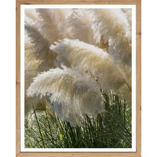 Bild mit Rahmen BÖNNINGHOFF "Wandbild gerahmt PAMPASGRAS 40x50 cm – Boho Wandbild Naturtöne", grün (farbe rahmen: artisan, farbe bild(er): grün, beige, weiß), B:50cm H:40cm T:2,1cm, MDF, Papier, Bilder, Bild mit Rahmen, mit dekorativem Rahmen