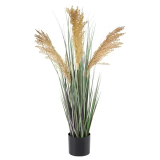 Ambia Home Dekogras , Braun, Grün , Metall, Kunststoff , 68 cm , Dekoration, Blumen & Blumentöpfe, Dekogras