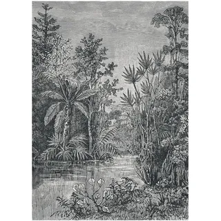 Art for the home Fototapete Jungle zwart - wit 280 x 200 cm