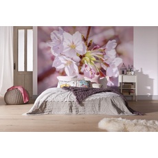 Bild Vlies Fototapete - Pink Blossom - Größe 248 x 184 cm, 4 Teile inklusive Kleister - Apfelblüte, Tapete, Wohnzimmer, Schlafzimmer