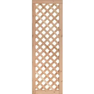 Rankgitter Kalira 60 x 180 cm Douglasie