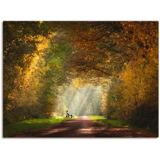 Artland Wandbild »Licht am Ende des Tunnels...«, Wald, (1 St.), als Leinwandbild, Wandaufkleber in verschied. Größen, grün