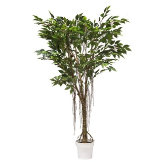 VEA SRL Pflanze G. FICUS REALTOUCH 150cm 57965