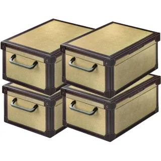 Set aus 4 Aufbewahrungsboxen mit Deckel – Große Kleiderboxen aus Karton 25x35x17,5 cm – Robust, leicht zu montieren, mit Tragegriffen – Perfekt für Kleiderschrank & Saisonwechsel Tapirus